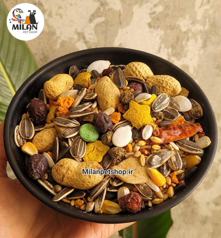 دانه مخلوط وارداتی ویژه طوطیسانان