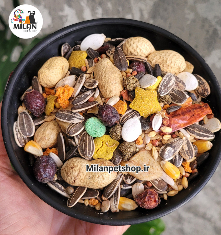 دانه مخلوط وارداتی ویژه طوطیسانان