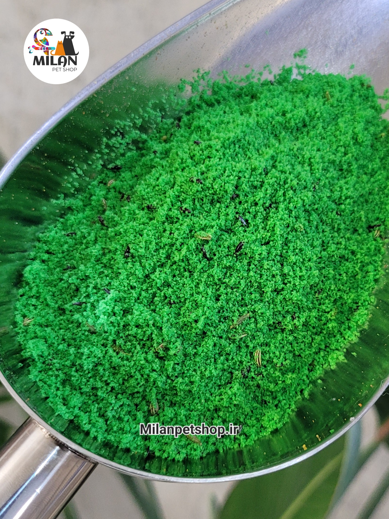 خوراک سبزیجات عسل پودری