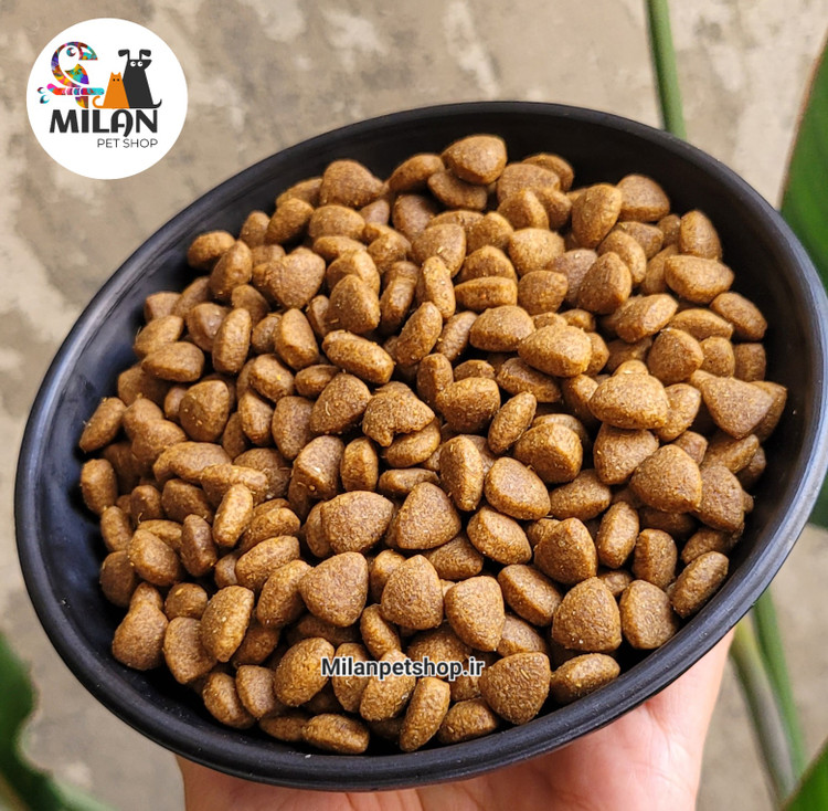 غذا خشک گربه بالغ فیدار
