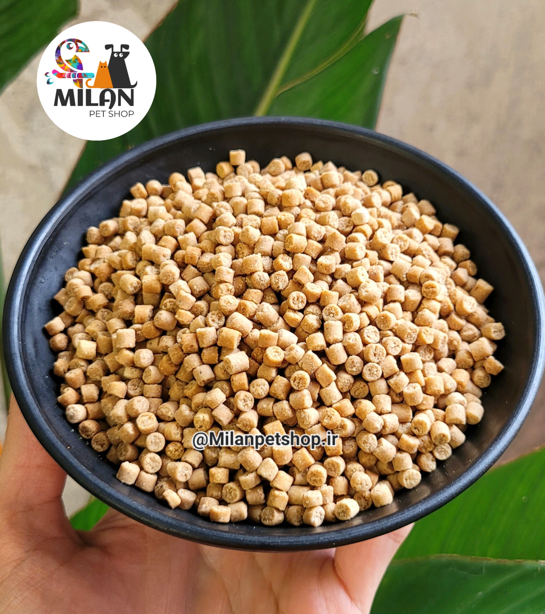 پلت میوه ای نچرال سایز مدیوم