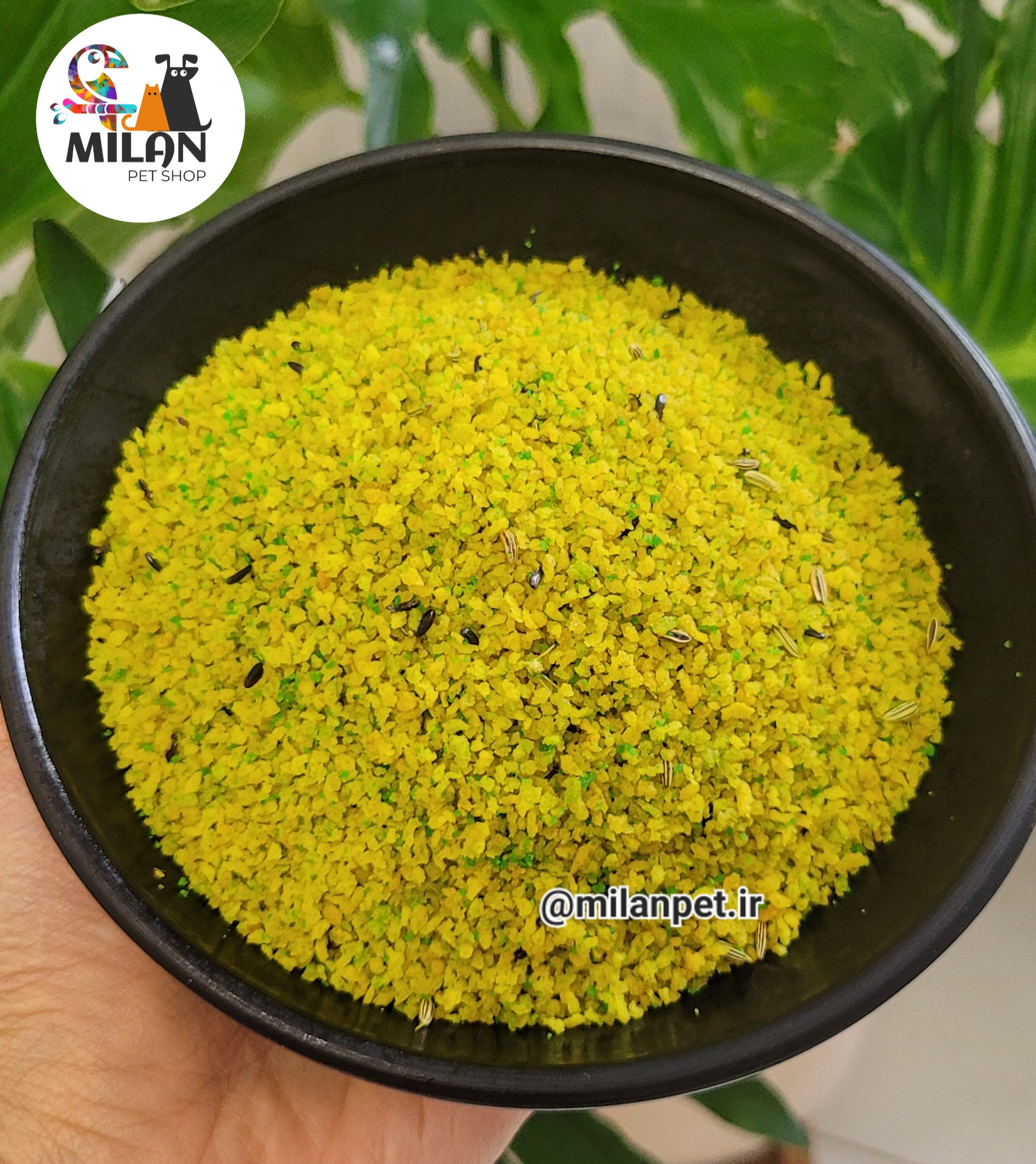خوراک تقوتی پاپایا و آناناس عسل