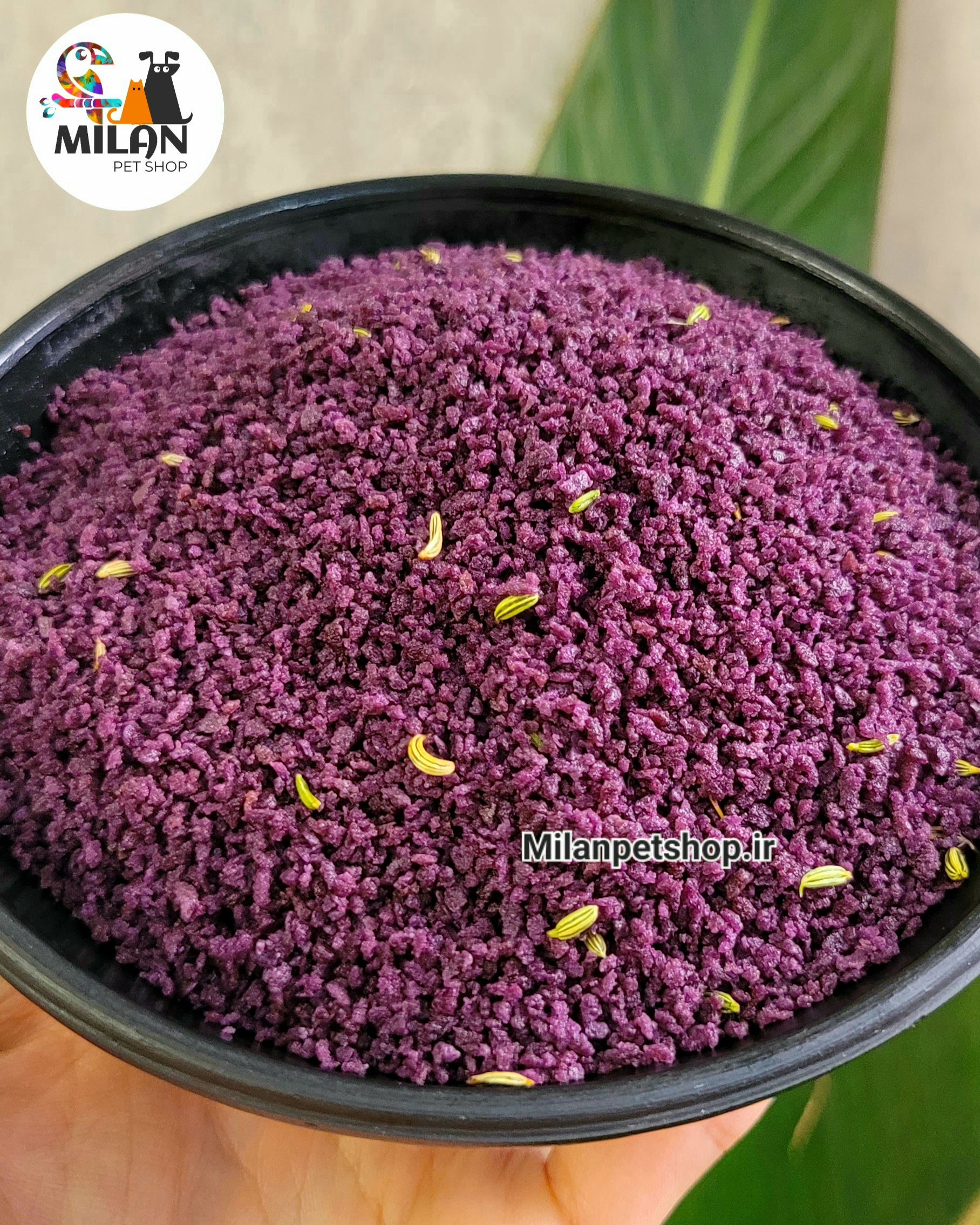 خوراک بلوبری عسل