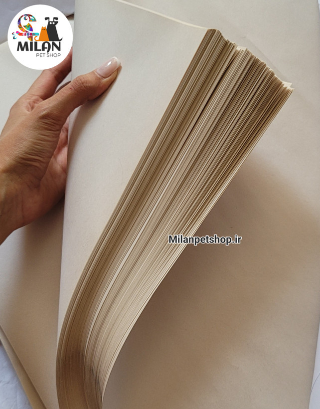 کاغذ قفس ۱۰۳۳