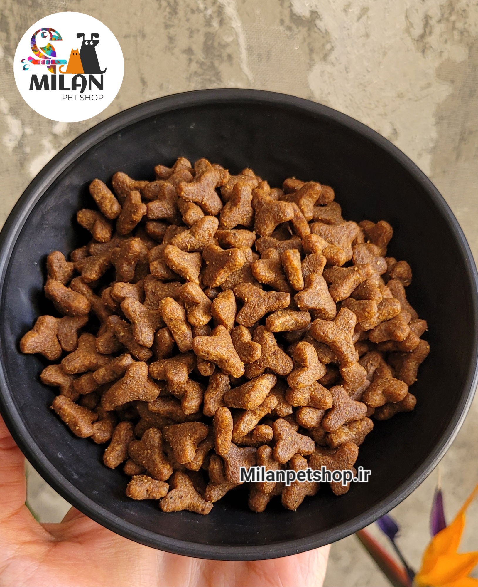 غذا خشک کتلوکس سوپر پریمیوم اورژینال