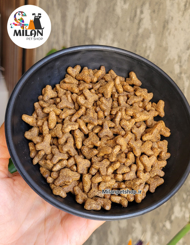 غذاخشک گربه بالغ عقیم شده خانگی (Indoor)